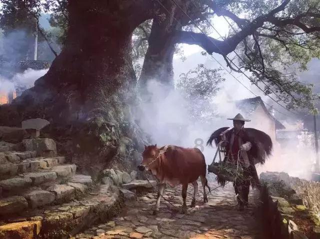 霉霉吻了他！当着全世界的面！